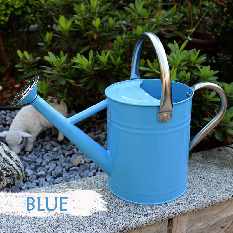 yourjoy Metal Watering Can, One Gallon Watering Cans Stainless Steel for Outdoor Indoor Garden Plants Watering (Stainless Steel Handle Blue) - Image 2